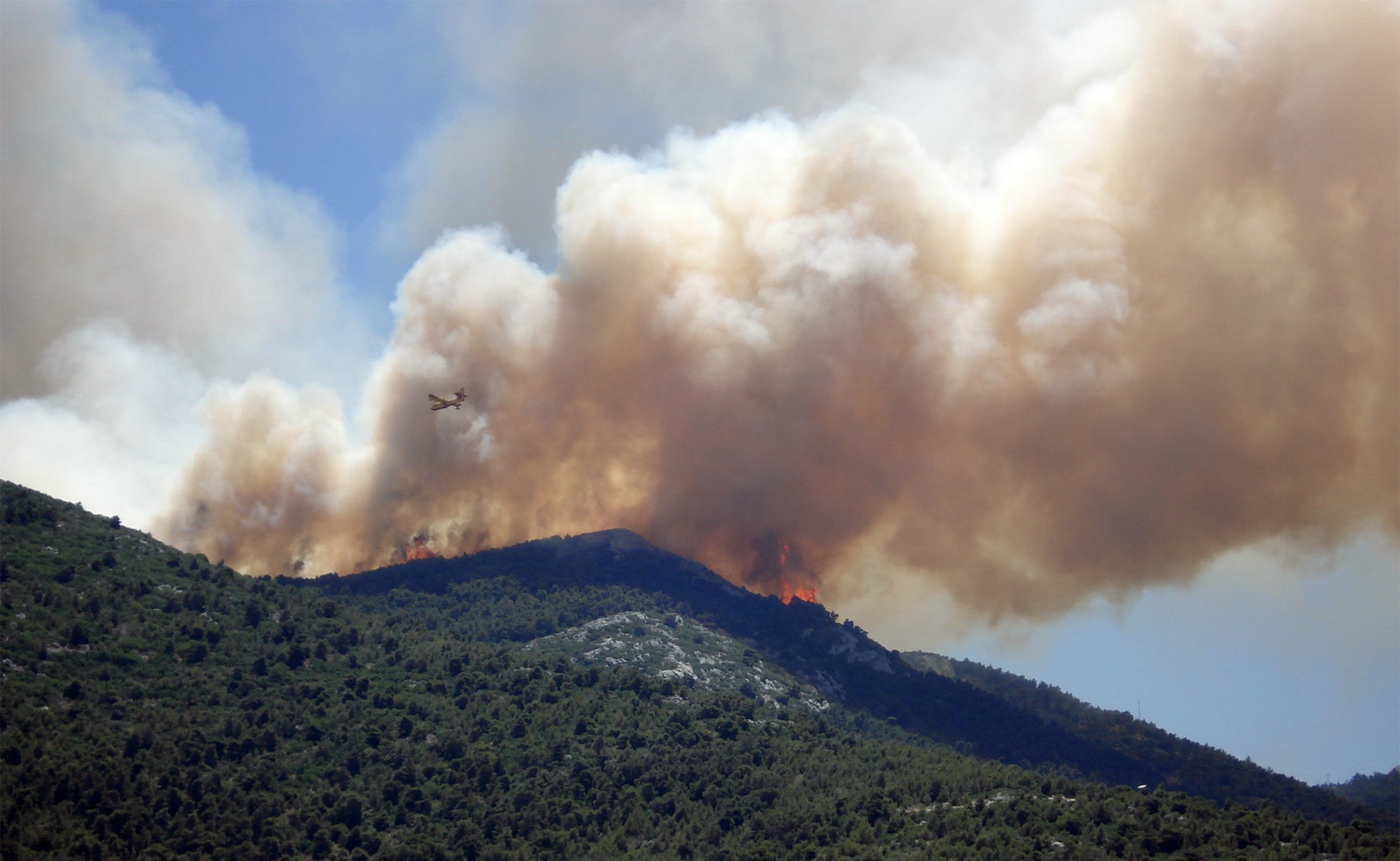 Wildfire