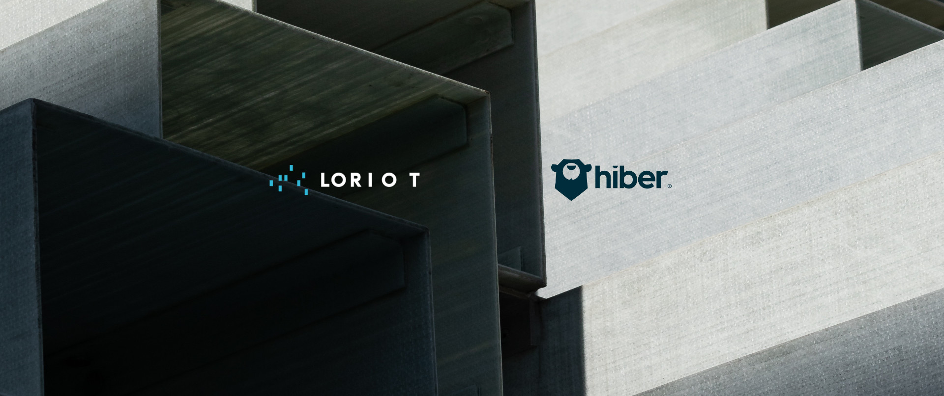 hiber-loriot partnership